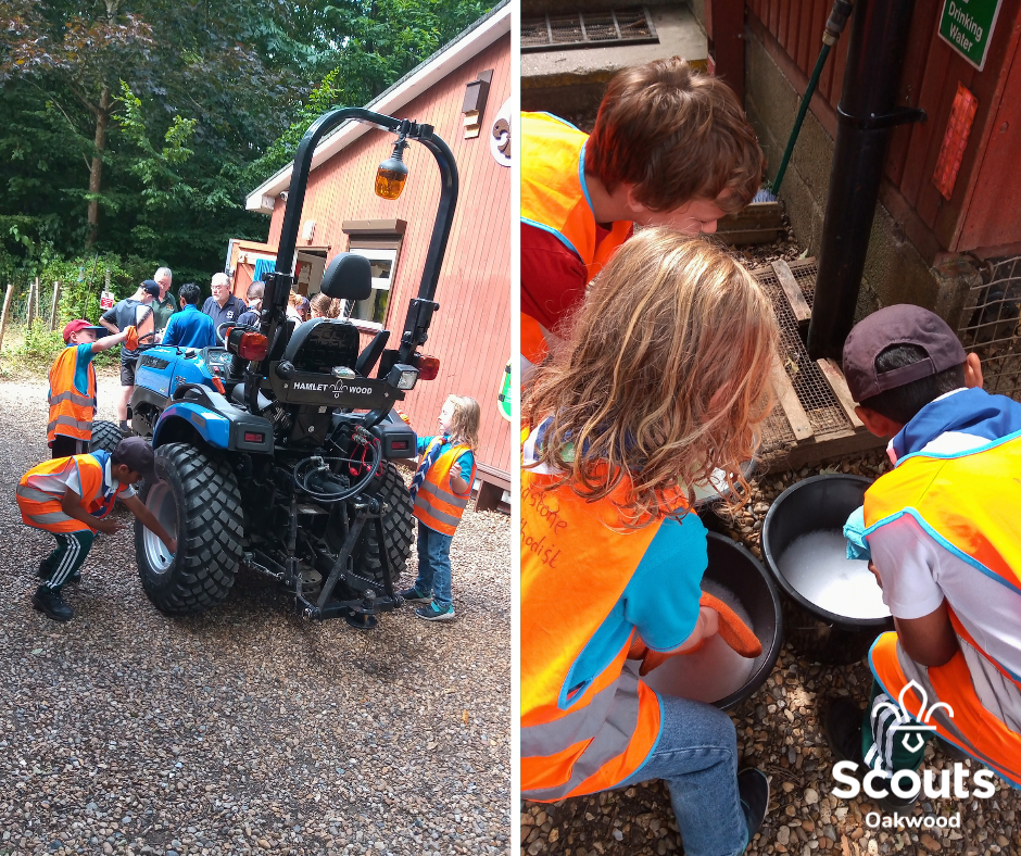 Helping Hands at Hamlet Wood